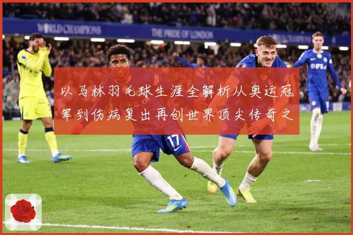 以马林羽毛球生涯全解析从奥运冠军到伤病复出再创世界顶尖传奇之路