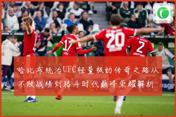 哈比布统治UFC轻量级的传奇之路从不败战绩到格斗时代巅峰荣耀解析